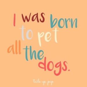 Meet your Posher, Autumn